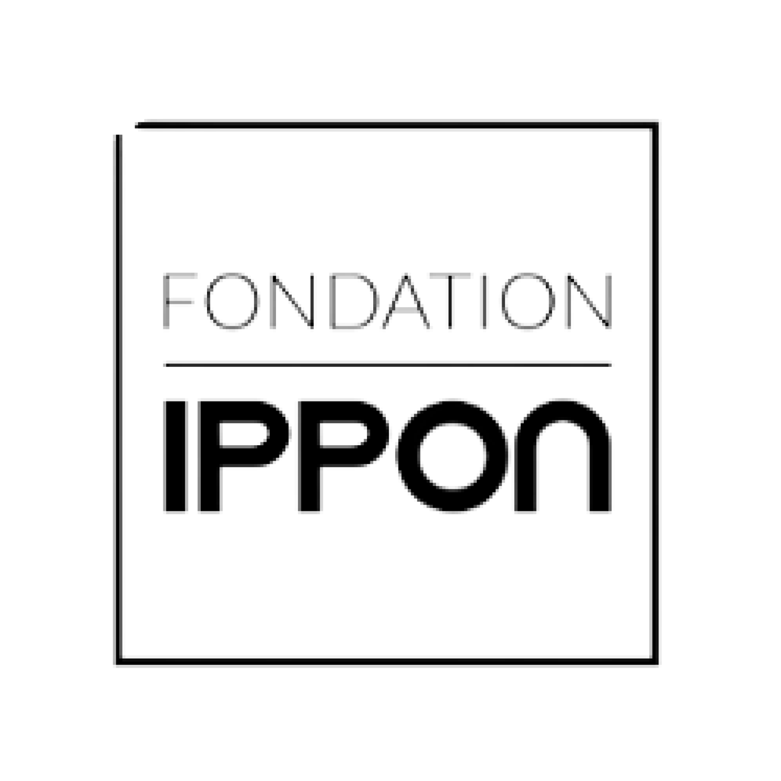 fondation ippon - Partenariat